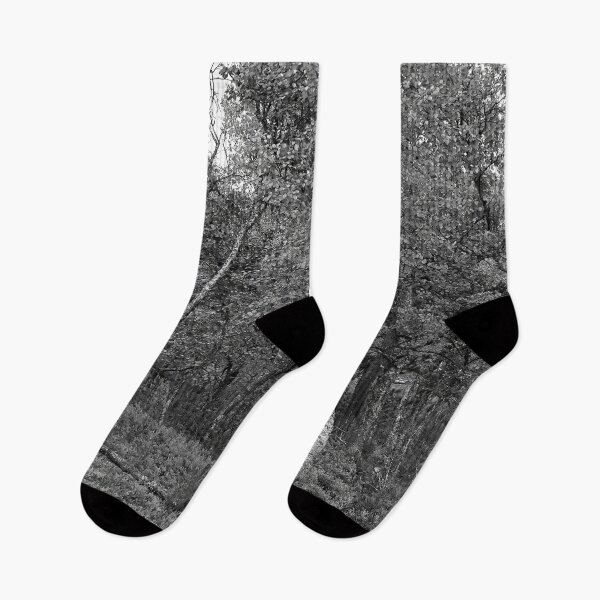 Item preview, Full. Mountain Birch bw designed and sold by Jouko Lehto Photography.