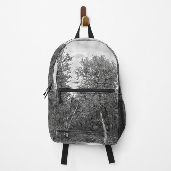 Item preview, Full. Mountain Birch bw designed and sold by Jouko Lehto Photography.
