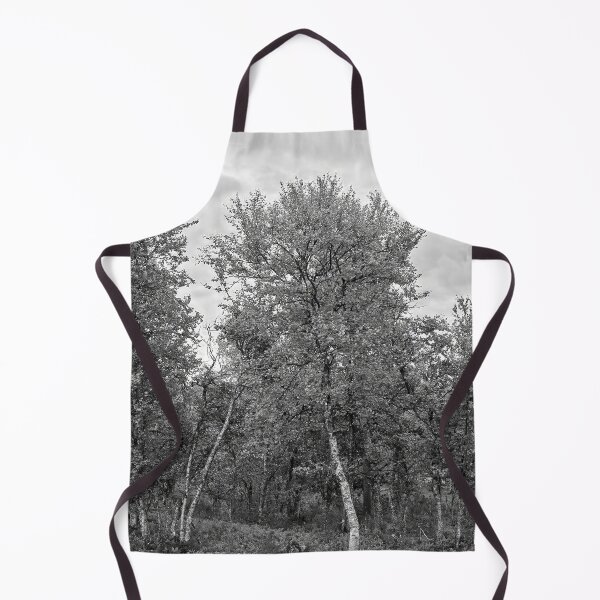 Item preview, Full. Mountain Birch bw designed and sold by Jouko Lehto Photography.