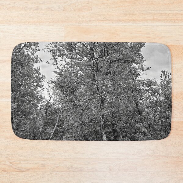Item preview, Full. Mountain Birch bw designed and sold by Jouko Lehto Photography.