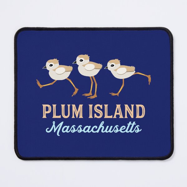 Item preview, Piping Plovers Plum Island Newburyport MA designed and sold by AntiqueImages.