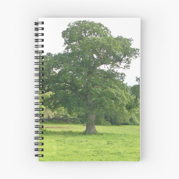 Item preview, A Somerset Tree designed and sold by lezvee.