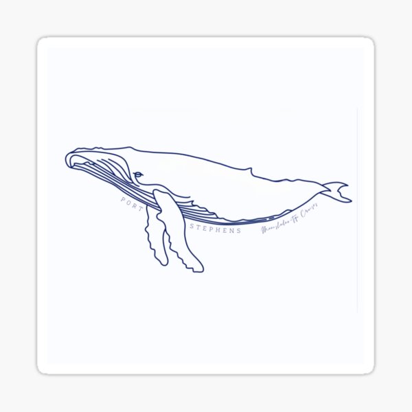 MSTQC Simple Line Humpback Whale - Moonshadow-TQC Cruises - Port Stephens Sticker