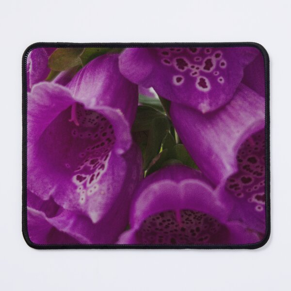 Item preview, Foxgloves designed and sold by ElderIslesPress.