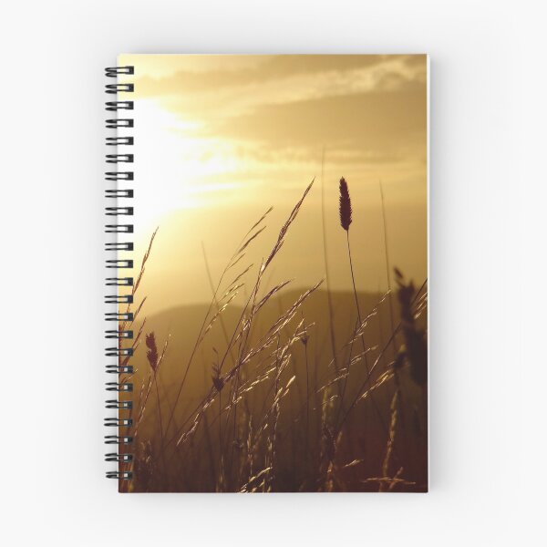 Item preview, An Australian Field in The Golden Sun designed and sold by exploramum.