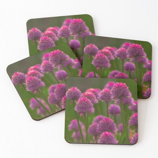 Item preview, Allium designed and sold by ElderIslesPress.