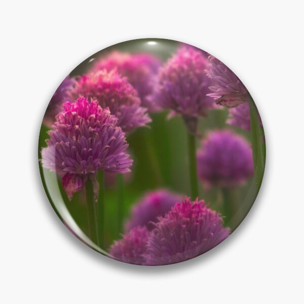 Item preview, Allium designed and sold by ElderIslesPress.