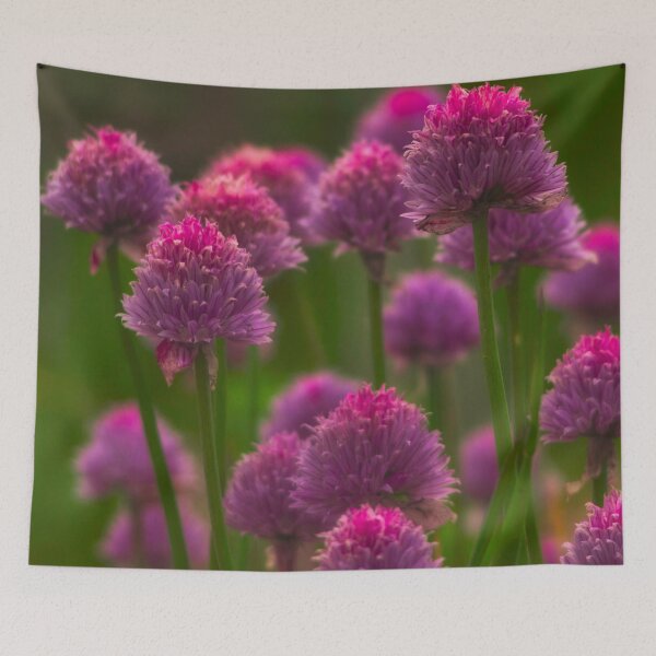 Item preview, Allium designed and sold by ElderIslesPress.