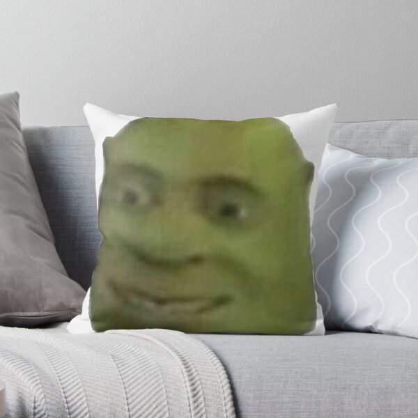 shrek pillow pet