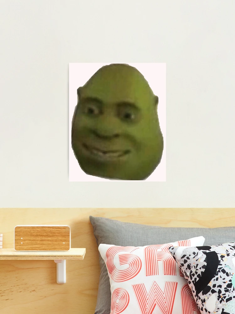 Shrek Meme Pillow Case Printed 35x50 Shrek Meme Png Shrek Face Shrek Meme  Face Shrek Png