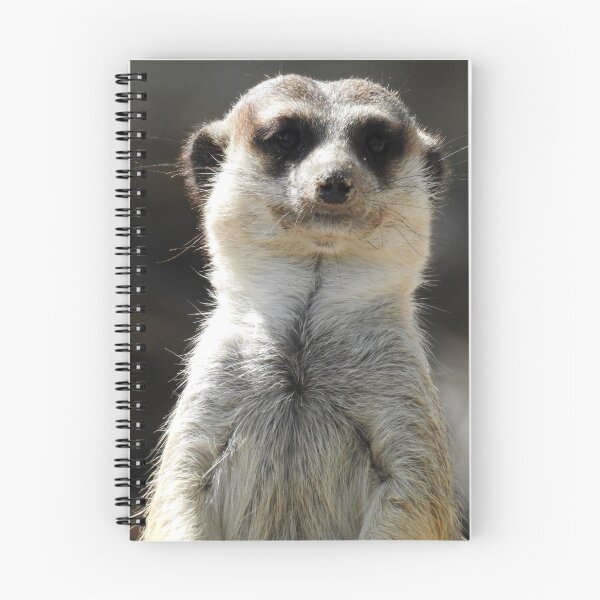 Item preview, Suricata designed and sold by Barnbk02.