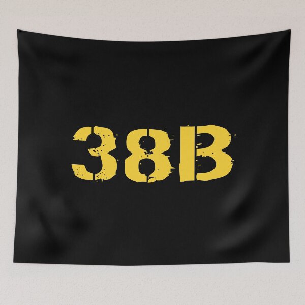 Item preview, 38B Civil Affairs Specialist designed and sold by Jared Davies.