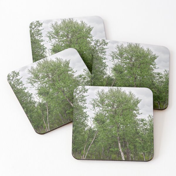 Item preview, Tan verde hoy. Abedul de montaña designed and sold by Jouko Lehto Photography.