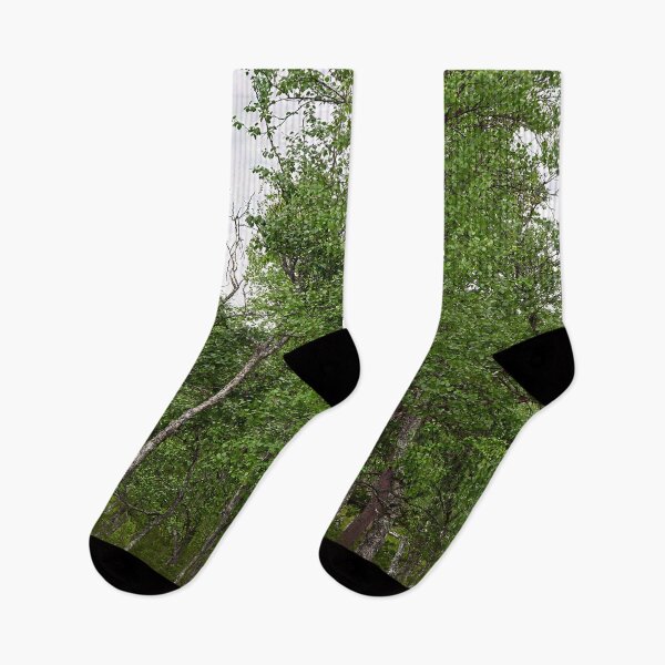 Item preview, So green today. Mountain Birch designed and sold by Jouko Lehto Photography.