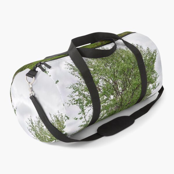 Item preview, So green today. Mountain Birch designed and sold by Jouko Lehto Photography.