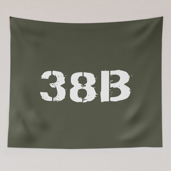 Item preview, 38B Civil Affairs Specialist designed and sold by Jared Davies.