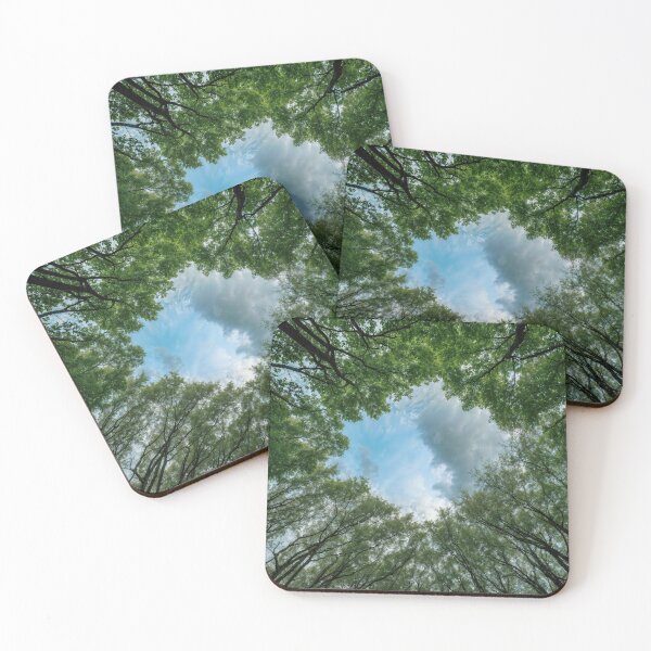 Item preview, Heavenly View from Forest Floor designed and sold by Prachodayat Artworks.