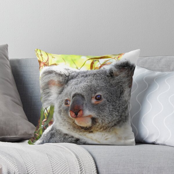 Item preview, Koala Two designed and sold by Barnbk02.