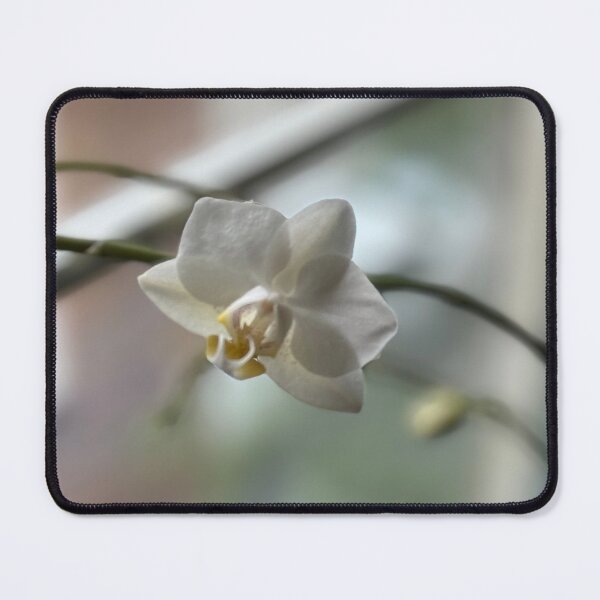 Item preview, A Single Bloom designed and sold by Karen Hairston.