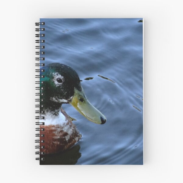 Item preview, Duck to the left with blue pond water designed and sold by exploramum.