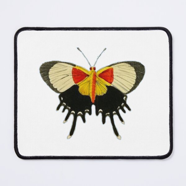 Item preview, A Butterfly With Yellow And Red designed and sold by VictorIos.