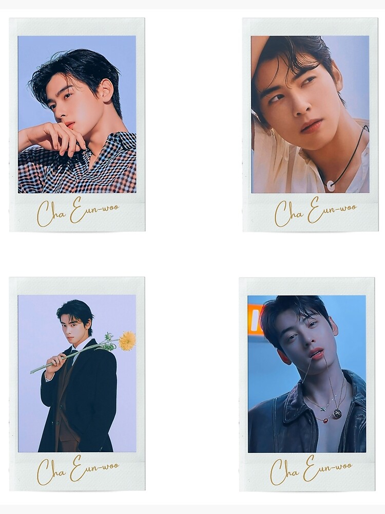 Cha Eun woo Sticker Set / T Shirt