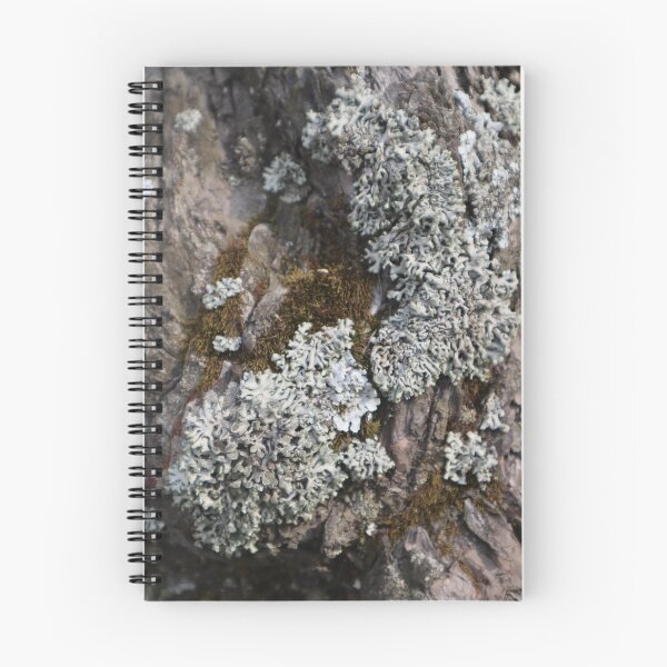 Item preview, Textures - Moss and Lichen pattern designed and sold by RabeeasArtSpace.