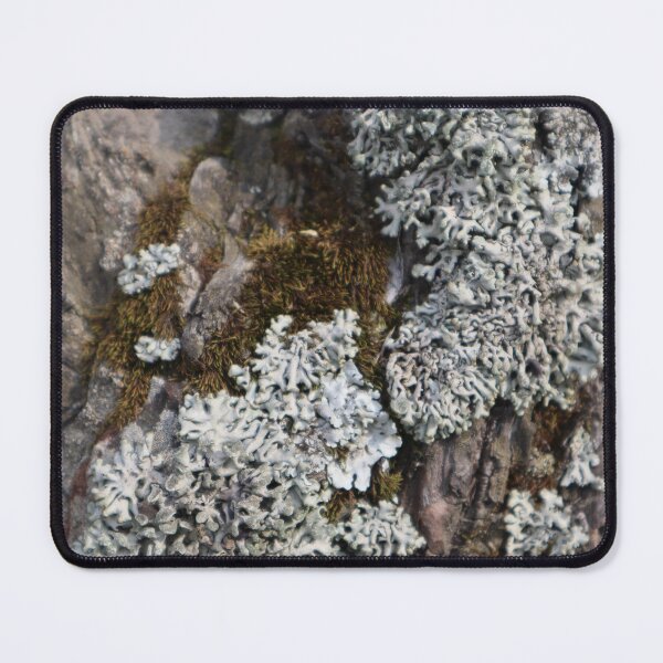 Item preview, Textures - Moss and Lichen pattern designed and sold by RabeeasArtSpace.
