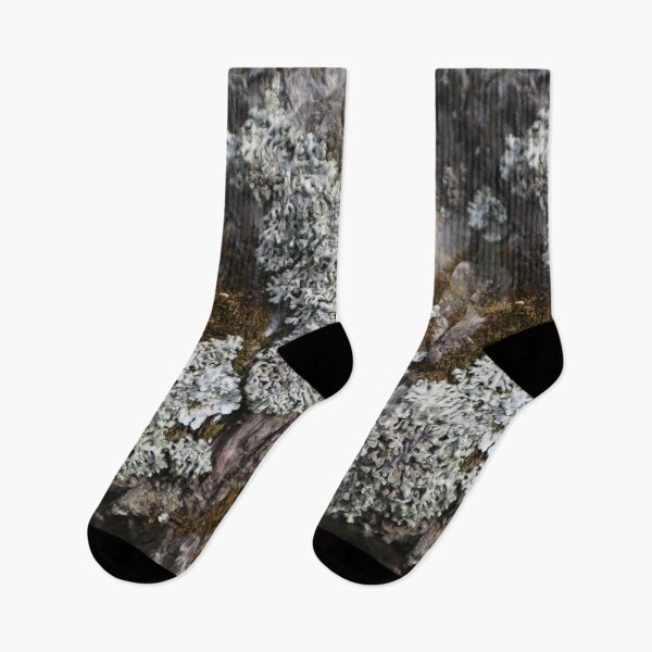 Item preview, Textures - Moss and Lichen pattern designed and sold by RabeeasArtSpace.