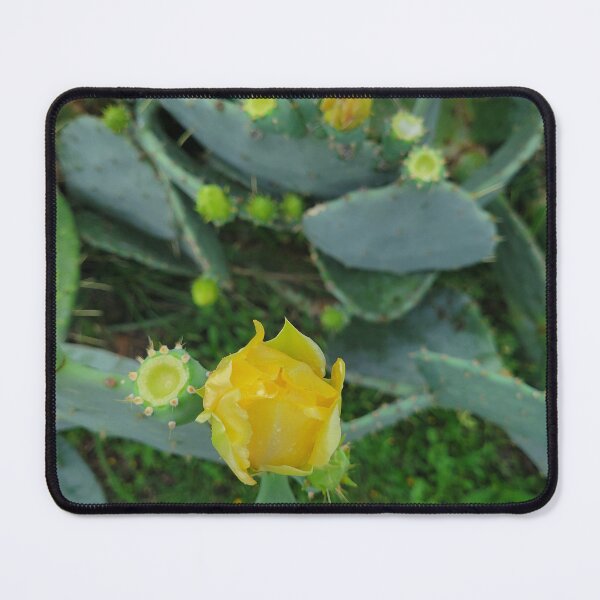 Item preview, Prickly beauty designed and sold by Shoppinmammaj.