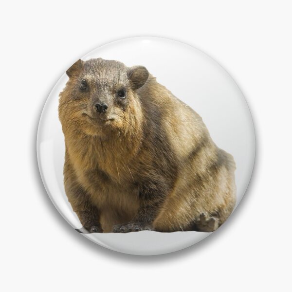 Item preview, Sitting rock hyrax  designed and sold by SillyLittleSnek.