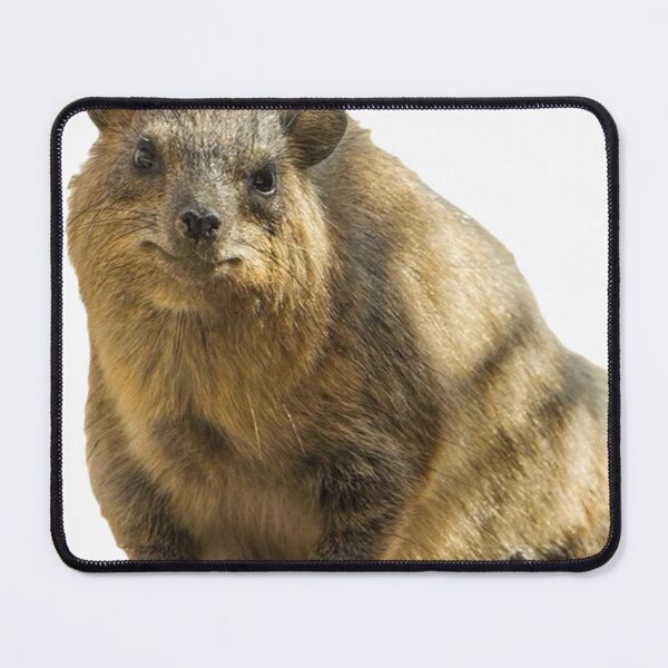Item preview, Sitting rock hyrax designed and sold by SillyLittleSnek.
