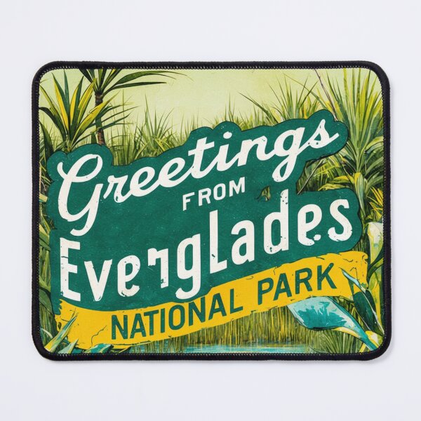Item preview, Everglades National Park Postcard Vintage Retro Travel Vintage designed and sold by TravelPostcardGems.
