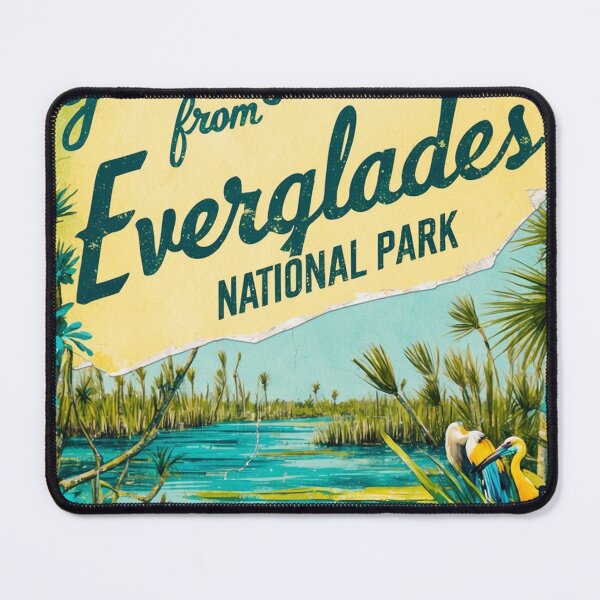 Item preview, Everglades National Park Postcard Vintage Retro Travel Vintage designed and sold by TravelPostcardGems.