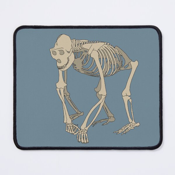 Item preview, Gorilla Skeleton designed and sold by taylorrowan.
