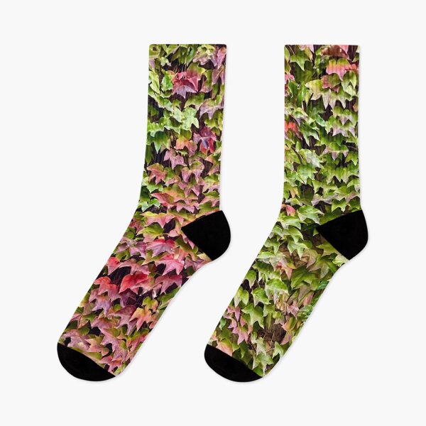 Item preview, Photo of Boston Ivy in Autumn  designed and sold by ricoflinn.