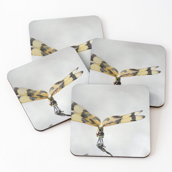 Item preview, Halloween Pennant Dragonfly designed and sold by MercerImages.