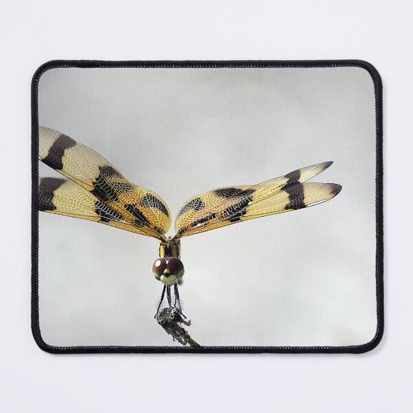 Item preview, Halloween Pennant Dragonfly designed and sold by MercerImages.
