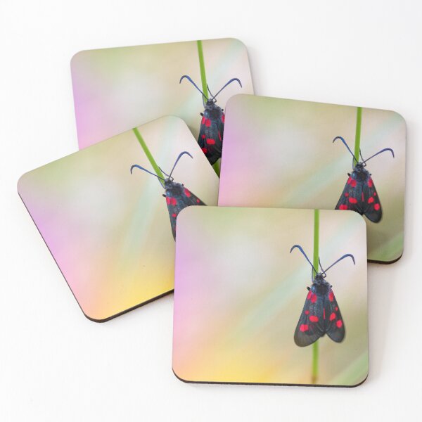 Item preview, Six-Spot Burnet Moth with colourful wildflowers designed and sold by AnitaNicholson.