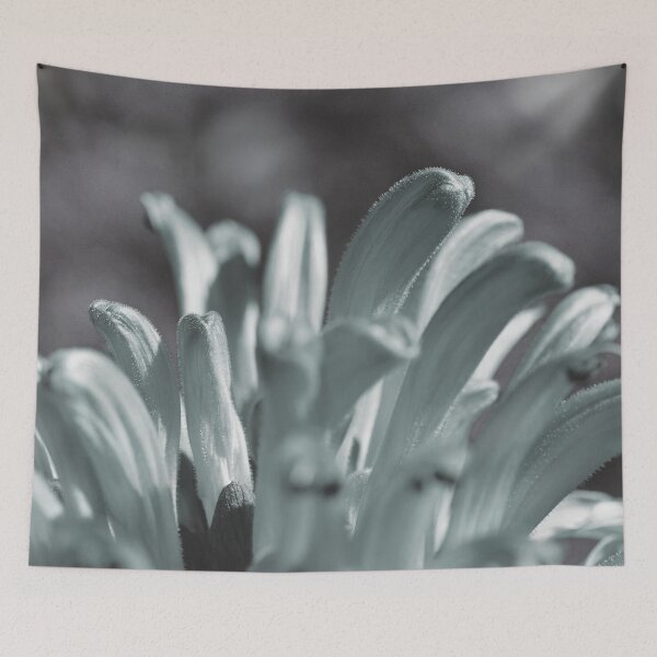Item preview, 004: Phantom Plume designed and sold by SageFolio.