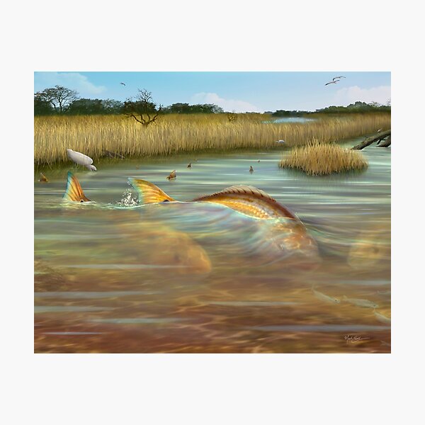 Item preview, Redfish in the salt marsh designed and sold by markericksonart.