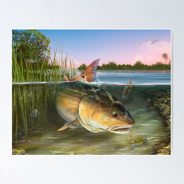 Item preview, Redfish in the Reeds designed and sold by markericksonart.