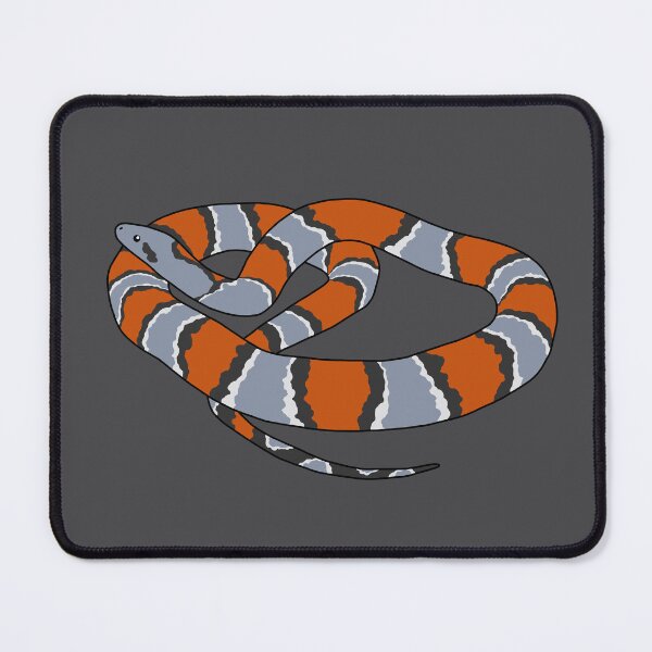 Item preview, Grey Banded Kingsnake designed and sold by taylorrowan.