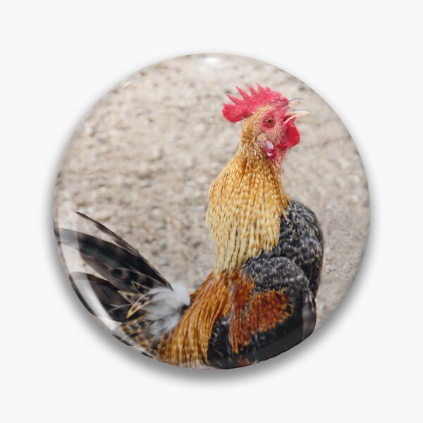 Item preview, Cock-A-Doodle-Doo!! designed and sold by heatherfriedman.