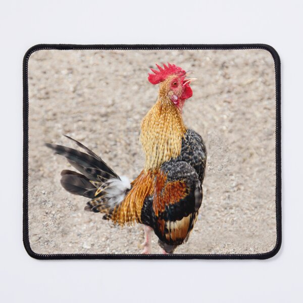 Item preview, Cock-A-Doodle-Doo!! designed and sold by heatherfriedman.