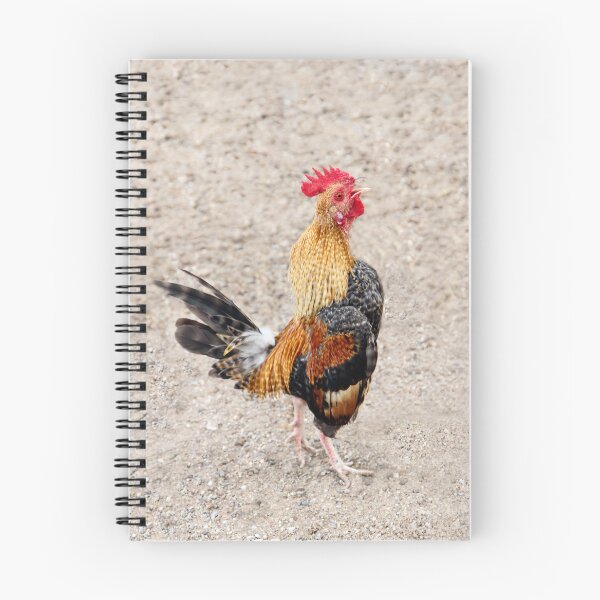 Item preview, Cock-A-Doodle-Doo!! designed and sold by heatherfriedman.