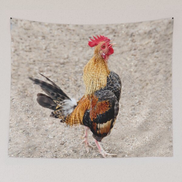 Item preview, Cock-A-Doodle-Doo!! designed and sold by heatherfriedman.