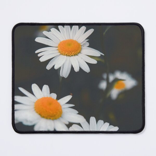 Item preview, Sunny Side Up designed and sold by ElderIslesPress.