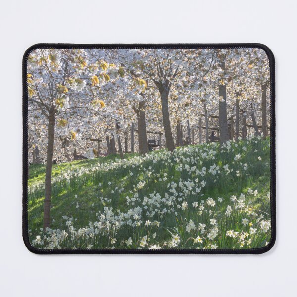 Item preview, Cherry Blossom Orchard in Spring designed and sold by AnitaNicholson.