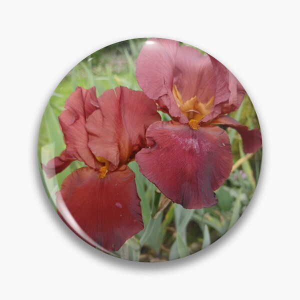 Item preview, Dusty irises designed and sold by Oubaitory.